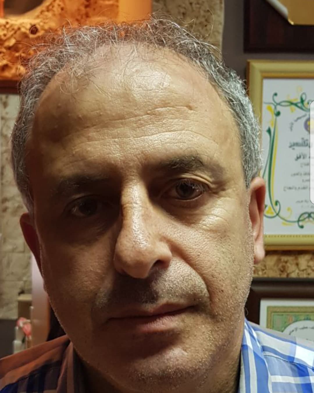 עפיף שלויט